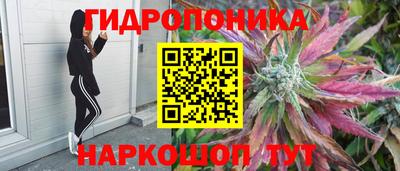 спиды Коммунар