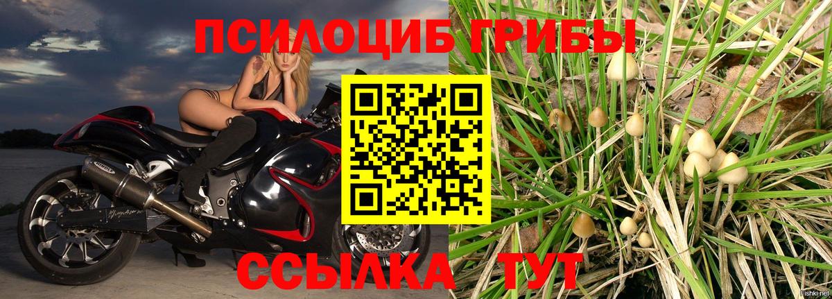Щёлково  Галлюциногенные грибы MAGIC MUSHROOMS  Галлюциногенные грибы Psilocybe  Вход с VPN 