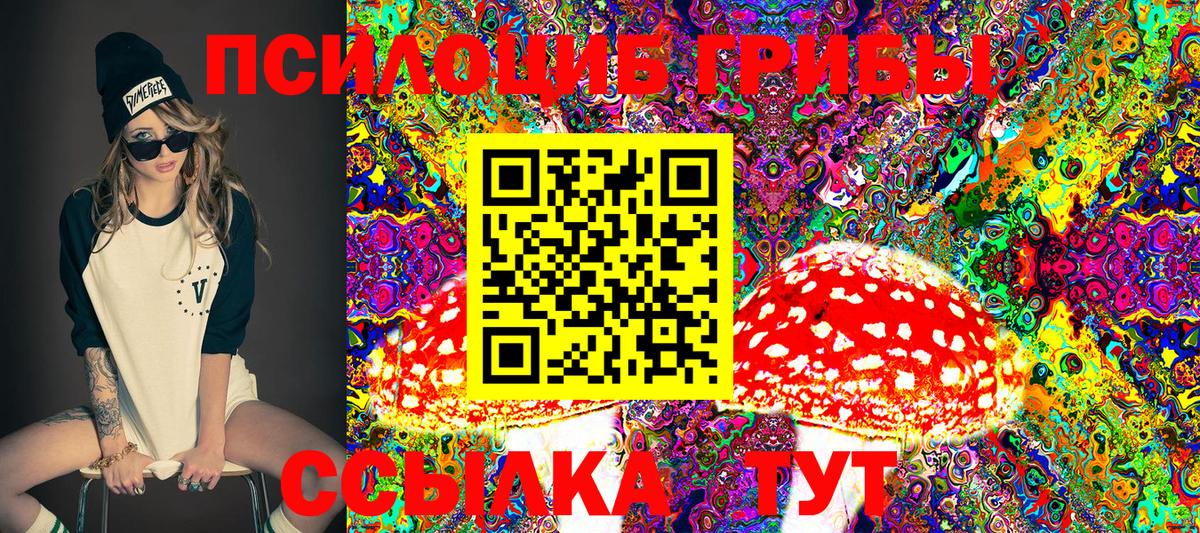 Псилоцибиновые грибы Psilocybe Щёлково